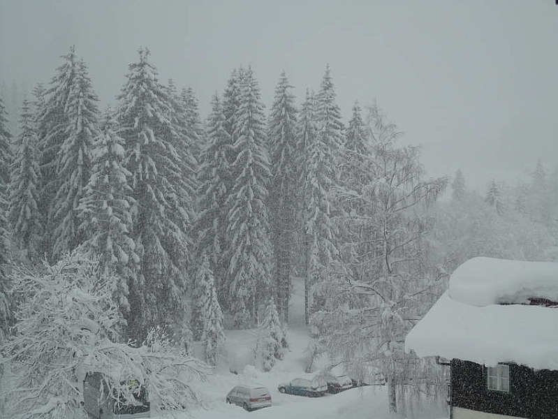 1-Anreise, Haushang 086